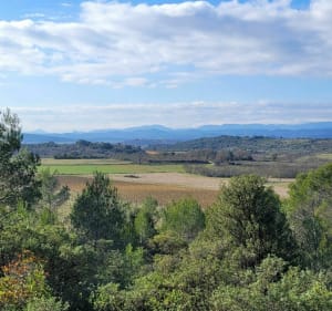 Promenons nous dans les bois de Vézénorbes - Saint-Hilaire-de-Brethmas - 5