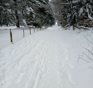 Wandel in de sneeuw aan de voet van de Puy de Dôme - Orcines - 3