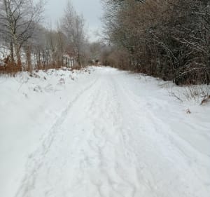 Wandel in de sneeuw aan de voet van de Puy de Dôme - Orcines - 5