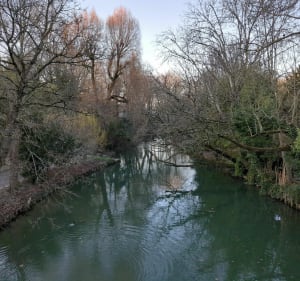 Bords de Marne : îles de Créteil et Halage - Saint-Maur-des-Fossés - 4