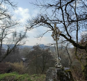 Le long du chemin par le Petits Bois - Saint-Priest-Taurion - 3