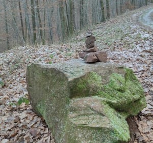 Jolie balade en forêt de la Petite Pierre Sud - Eschbourg - 5