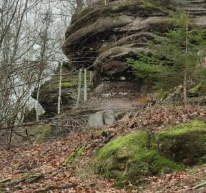 Jolie balade en forêt de la Petite Pierre Sud - Eschbourg - 3