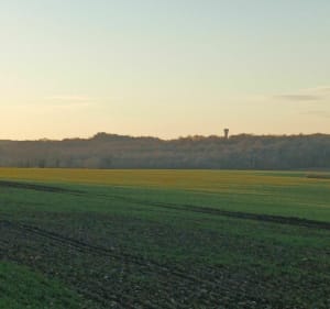 Balade des chemins entre Haironville et Brillon - Haironville - 3