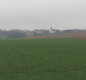 Tour de Morschwiller - Morschwiller - 4