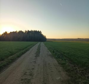 Balade des chemins entre Haironville et Brillon - Haironville - 4