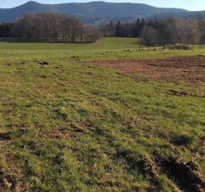 Sur les hauteurs de Denipaire - Denipaire - 4