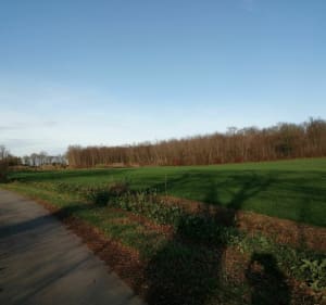 De Clemenciat à l'Abergement - L'Abergement-Clémenciat - 3