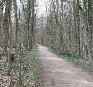 Belle boucle du Domaine de St Cloud à la forêt de Meudon - Issy-les-Moulineaux - 5