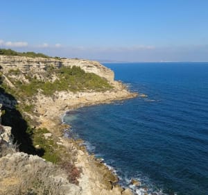 Tour de l'étang de Leucate jusqu'au falaises - Leucate - 4