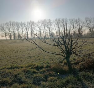 Le Tréport, Flocques, Mesnil Val, Criel, Criel plage. - Sebastien - 5