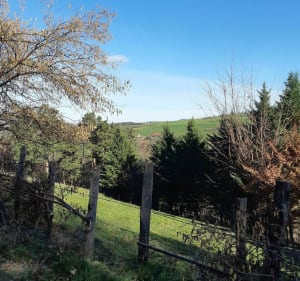 Petite ballade sur Chevrières - Saint Denis sur Coise - 3