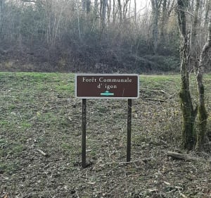 Traversée de la forêt Communale d'Igon... - Igon - 3