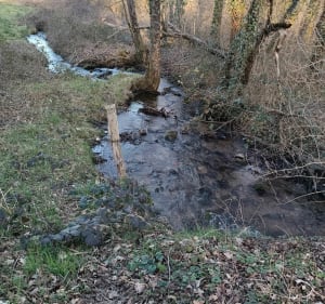 La Chaize à pied - Bersac-sur-Rivalier - 4