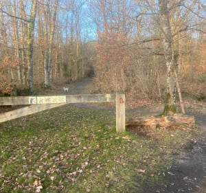 À pieds au cœur des Dolines dans le Loiret - Saint Cyr en Val - 3