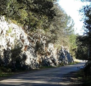 Poulx, un village au cœur de la garrigue - Poulx - 4