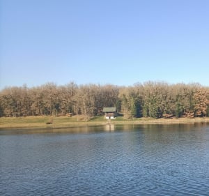 Les berges d'Ayron et Etang de Fleix - Ayron - 3