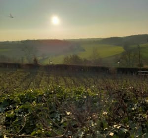 Autour de Gerberoy - Songeons - 3