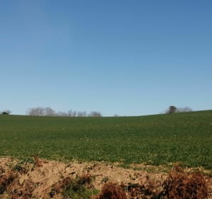 Sanctuaire de Sainte-Quitterie - Caubios-Loos - 4