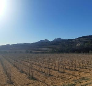 Aubignan, Suzette, Le barroux - Aubignan - 4