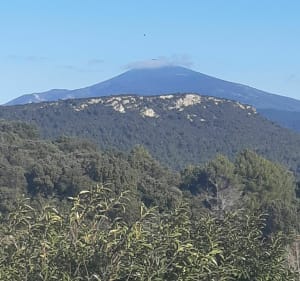 Aubignan, Suzette, Le barroux - Aubignan - 5