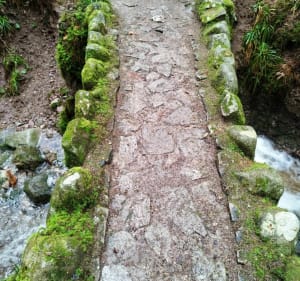 Wandeling naar de Saut de la Bourrique - Gérardmer - 3