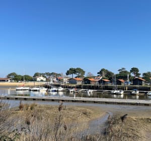 Balade du littoral de la Hume au port ostréicole du Rocher - Gujan Mestras - 5