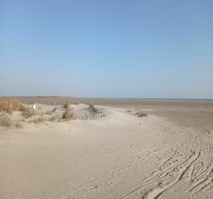 Le tour de la Camargue en 2 jours. Jour 1. - Arles - 4