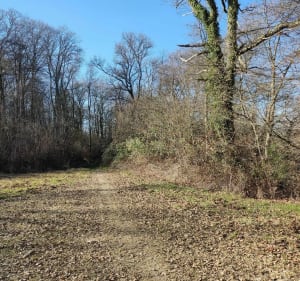 Promenade sur les crêtes de Souyaux à VTT - Orleix - 4