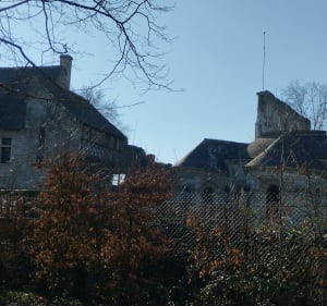 Balade au bord de Loire à La Riche - La Riche - 4