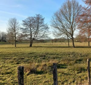 Rando autour de Saint Antoine sur l'Isle - Saint-Antoine-sur-l'Isle - 4