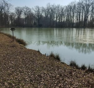 Dieffmaten par Bellemagny et le couvent des sœurs - Diefmatten - 3