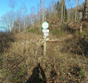 Korte familiewandeling in Fresse-sur-Moselle - Fresse-sur-Moselle - 4