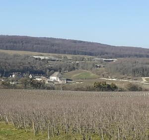 Balade entre Touche et Mercurey - Mercurey - 4