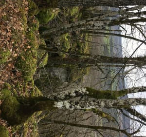 Prachtige wandeling in de Ouche-vallei - Fleurey-sur-Ouche - 5
