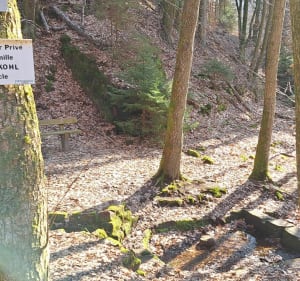 Hasselfurth-Lemberg-Hasselfurth - Bitche - 3