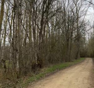 Balade du marécage au marais à Saint-Hilaire-le-Palud - Saint-Hilaire-la-Palud - 5