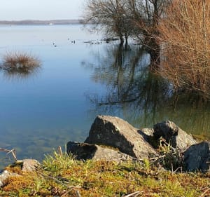 Tour du lac de Michelbach - Michelbach - 3