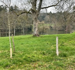 Le parc de Chaudron en Mauges - Montrevault-sur-Èvre - 5