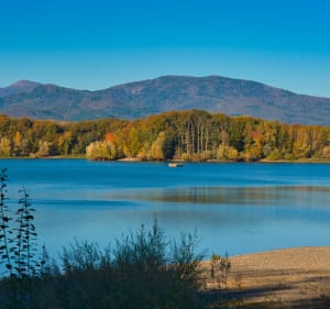 Tour du lac de Michelbach - Michelbach - 4
