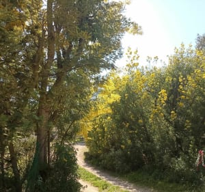 Balade de l'étang en passant par le canal de la Siagne - Mougins - 5