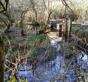 Boucle de Pont Hir - Saint-Thégonnec Loc-Eguiner - 4