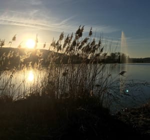 Vesoul via Pusey en Lake Vaivre per VTC. - Vesoul - 3