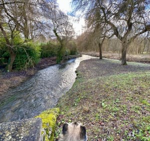 Balade en passant par le plan d’eau du Canada et Fouquenies - Beauvais - 4