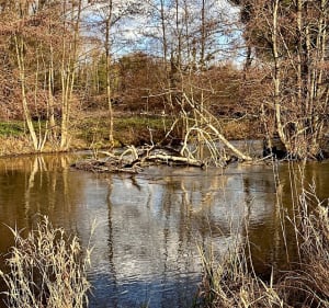 Balade en passant par le plan d’eau du Canada et Fouquenies - Beauvais - 5