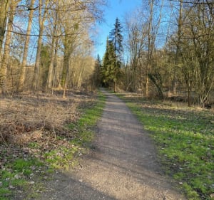 Parc de Grouchy - Osny - 3