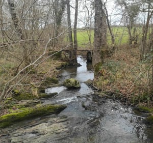 La Gargilesse secrète et sauvage - Gargilesse-Dampierre - 3