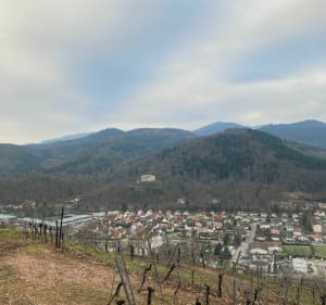 De Buhl, sur les hauteurs de l’Appenthal - Patrick - 5
