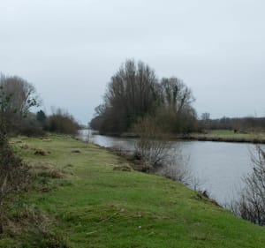 Entre marais et bocage à Étienville - Picauville - 3