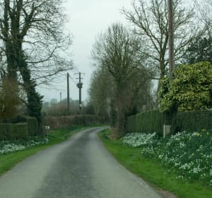 Entre marais et bocage à Étienville - Picauville - 5